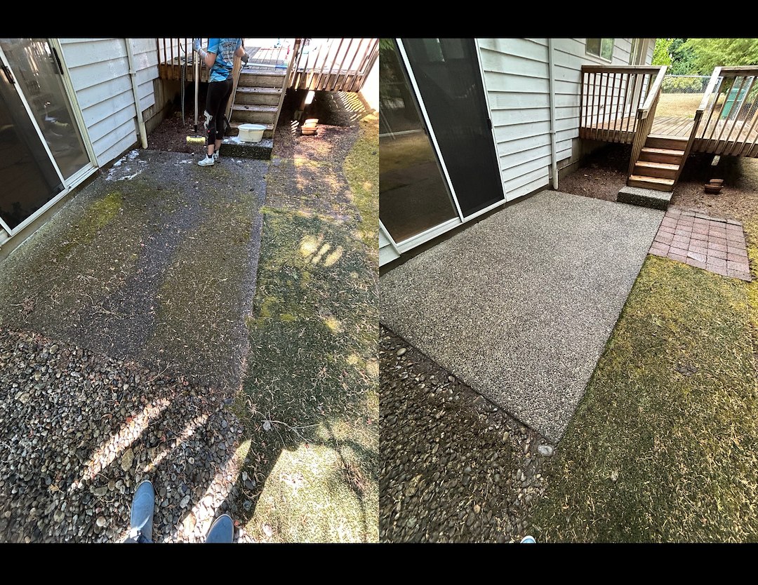 Exterior Cleaning in Brier, WA