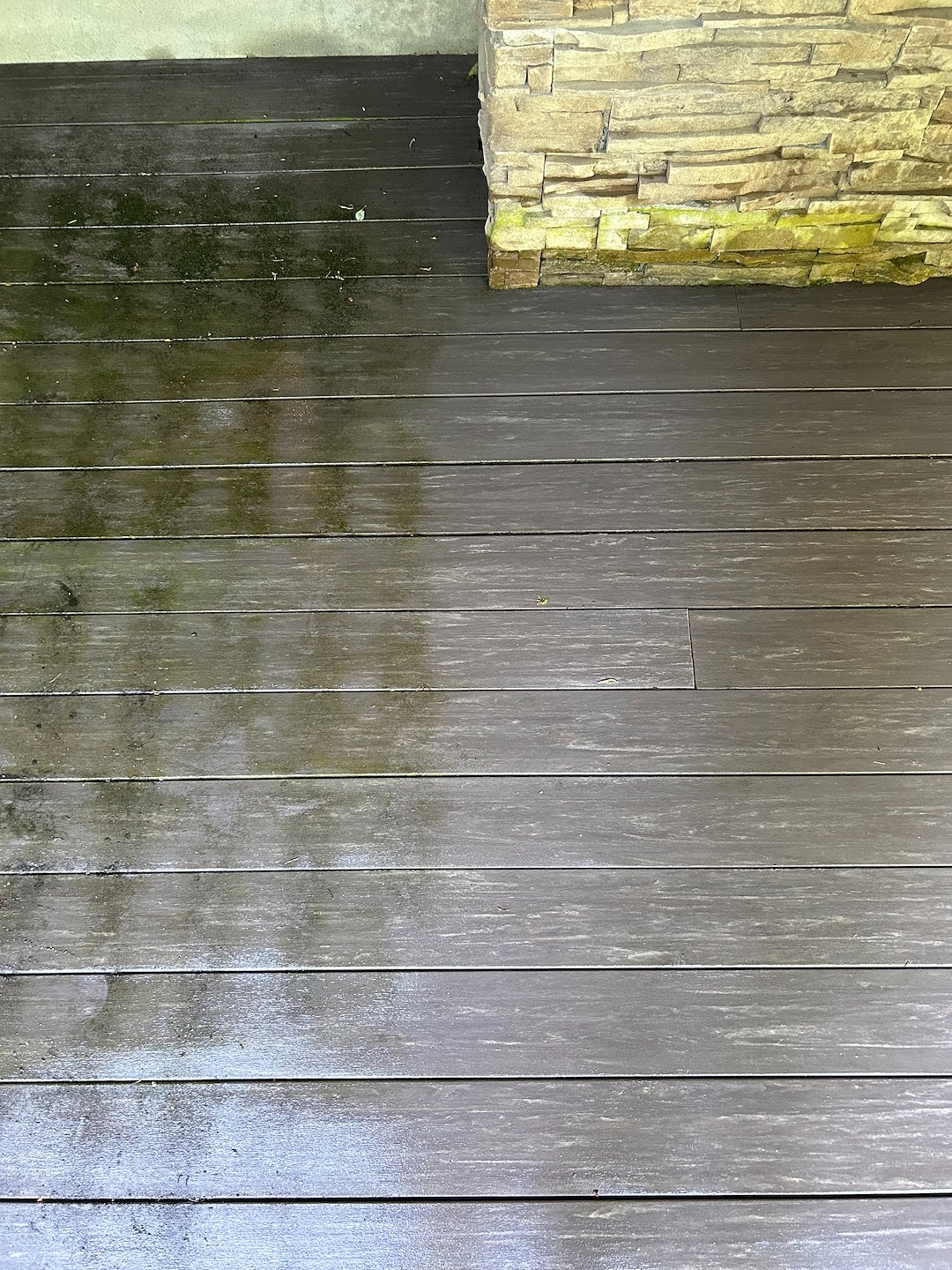 Fence and Deck Cleaning in Redmond, WA