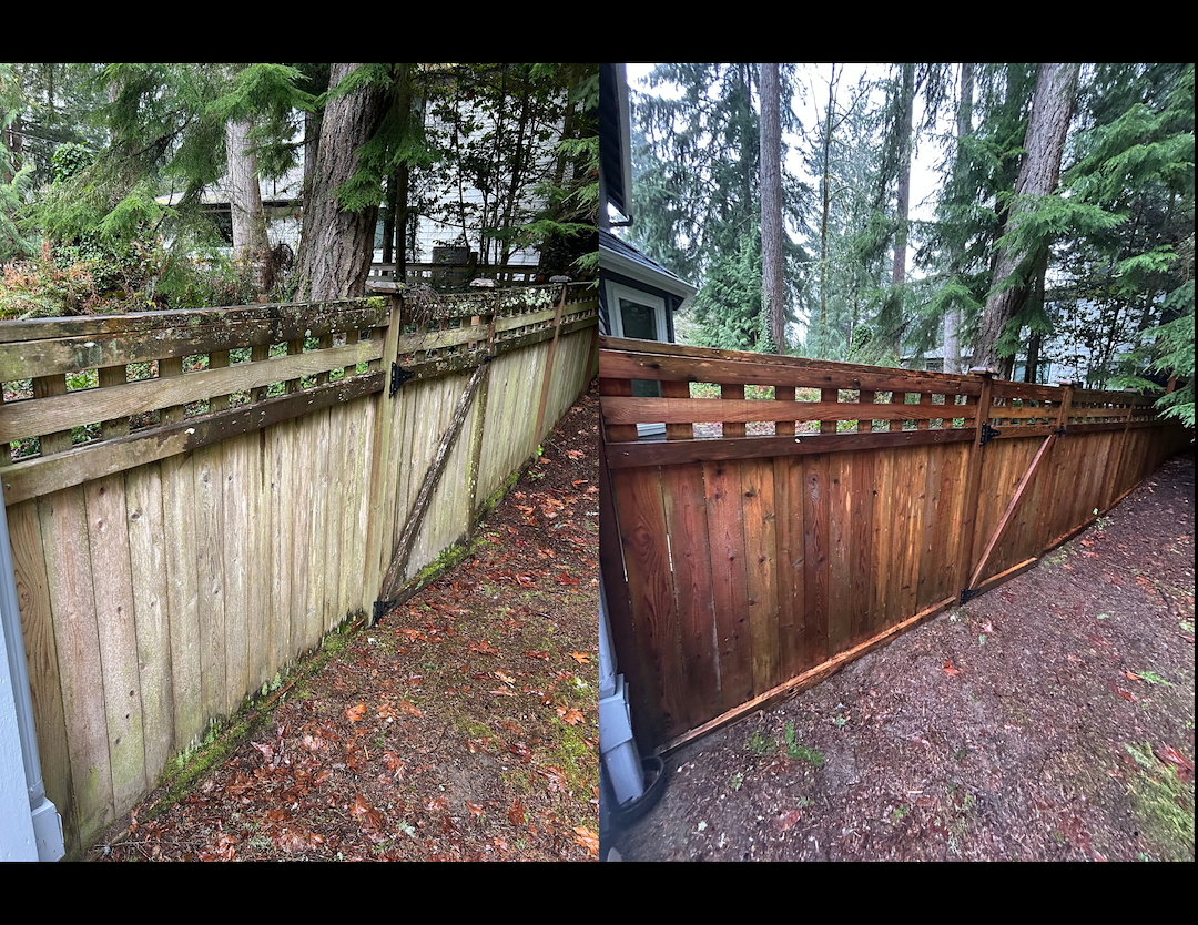 Fence Cleaning and Pressure Washing in Woodinville, WA