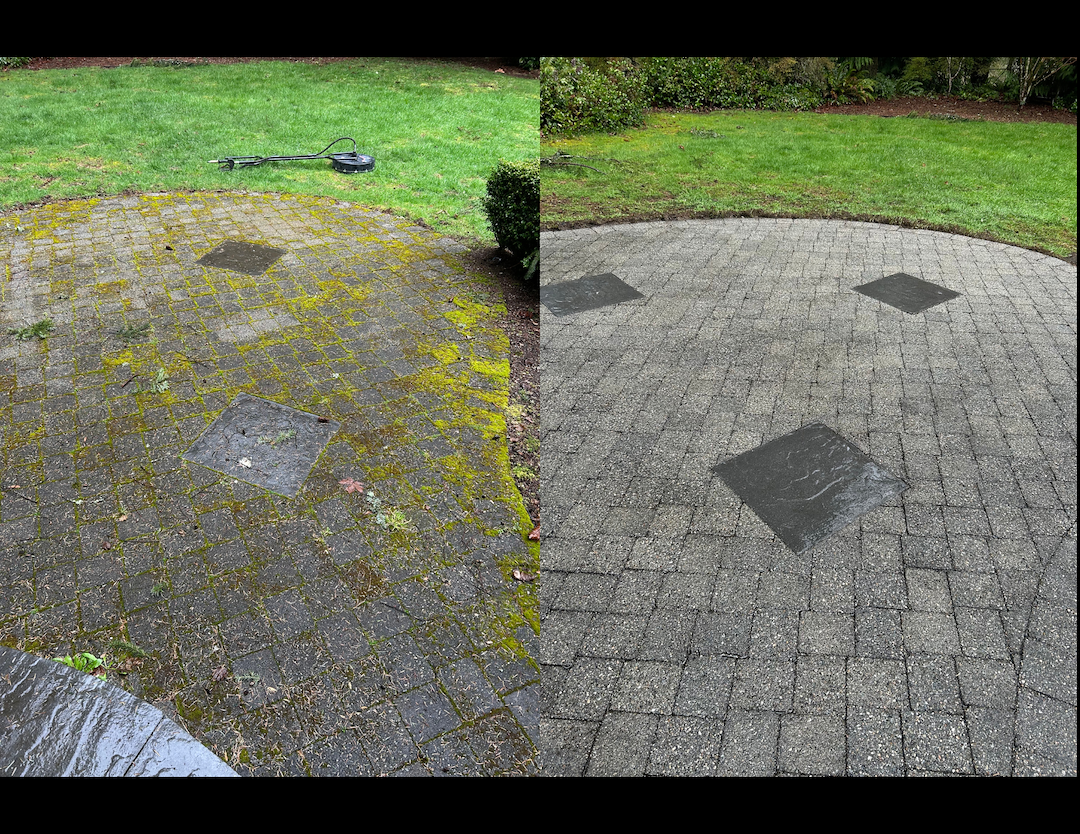High Quality Pressure Washing in Woodinville, WA