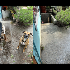High-Quality-Pressure-Washing-in-Seattle-WA 1
