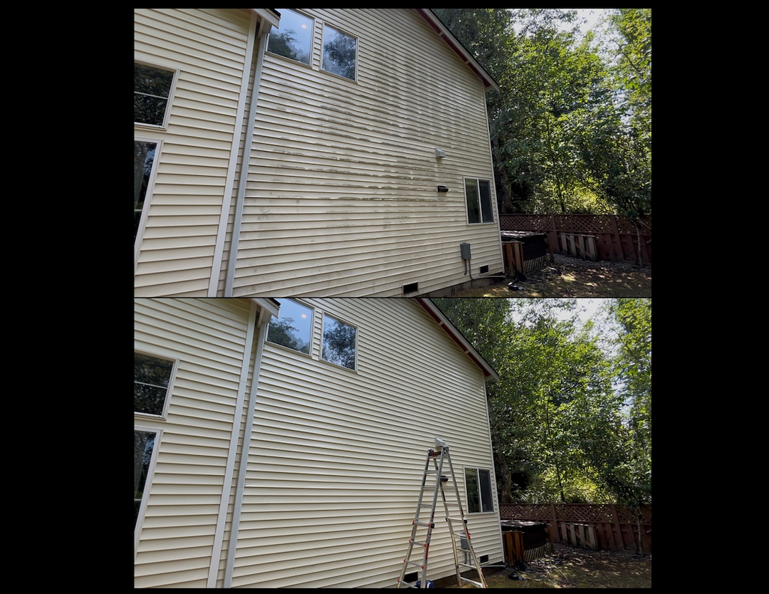 House Wash in Snohomish, WA