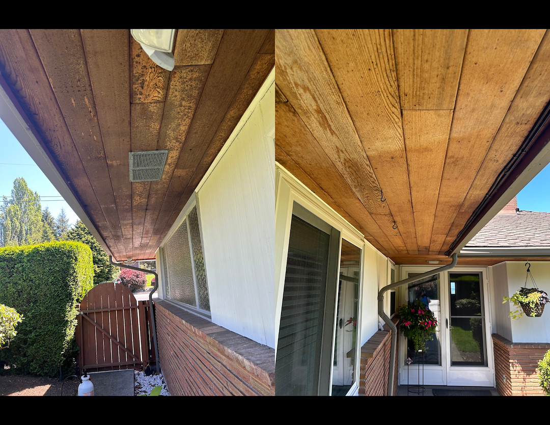 Professional House Wash in Everett, WA