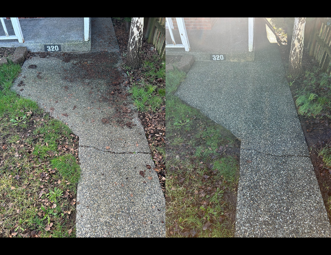 Top Quality Pressure Washing in Monroe, WA
