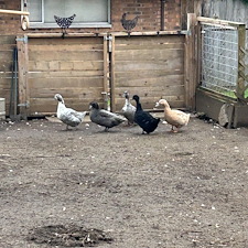 Window-Cleaning-in-Marysville-WA 0