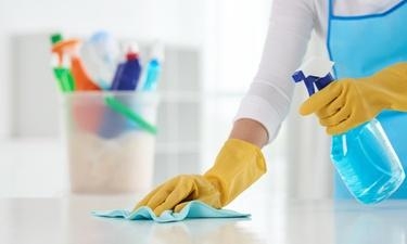Home cleaning services